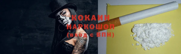 spice Алзамай