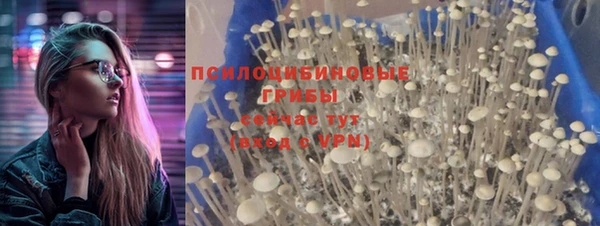 spice Алзамай